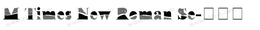M Times New Roman Se字体转换 M Times New Roman Se字体转换